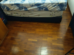 Evergreen Park (D19), Apartment #632088611